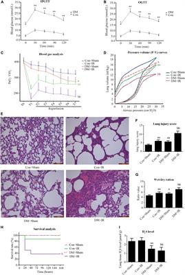 Hydrogen Sulfide Ameliorates Lung Ischemia-Reperfusion Injury Through SIRT1 Signaling Pathway in Type 2 Diabetic Rats